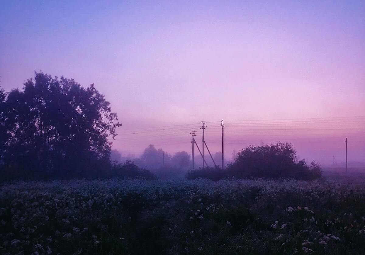 九游体育官方网站：开启专业、透明的体育娱乐平台之旅