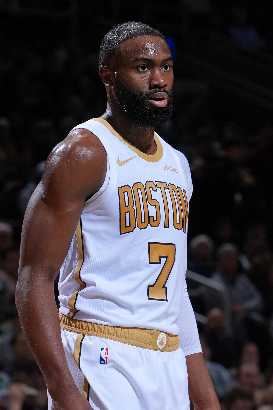 开云网站-独撑！杰伦·布朗29中14得33分7板4助 可惜失误稍多有7次